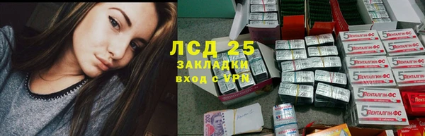 дживик Тутаев