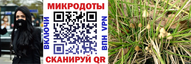 мориарти официальный сайт  Шимановск  мега   Псилоцибиновые грибы мицелий  как найти закладки 